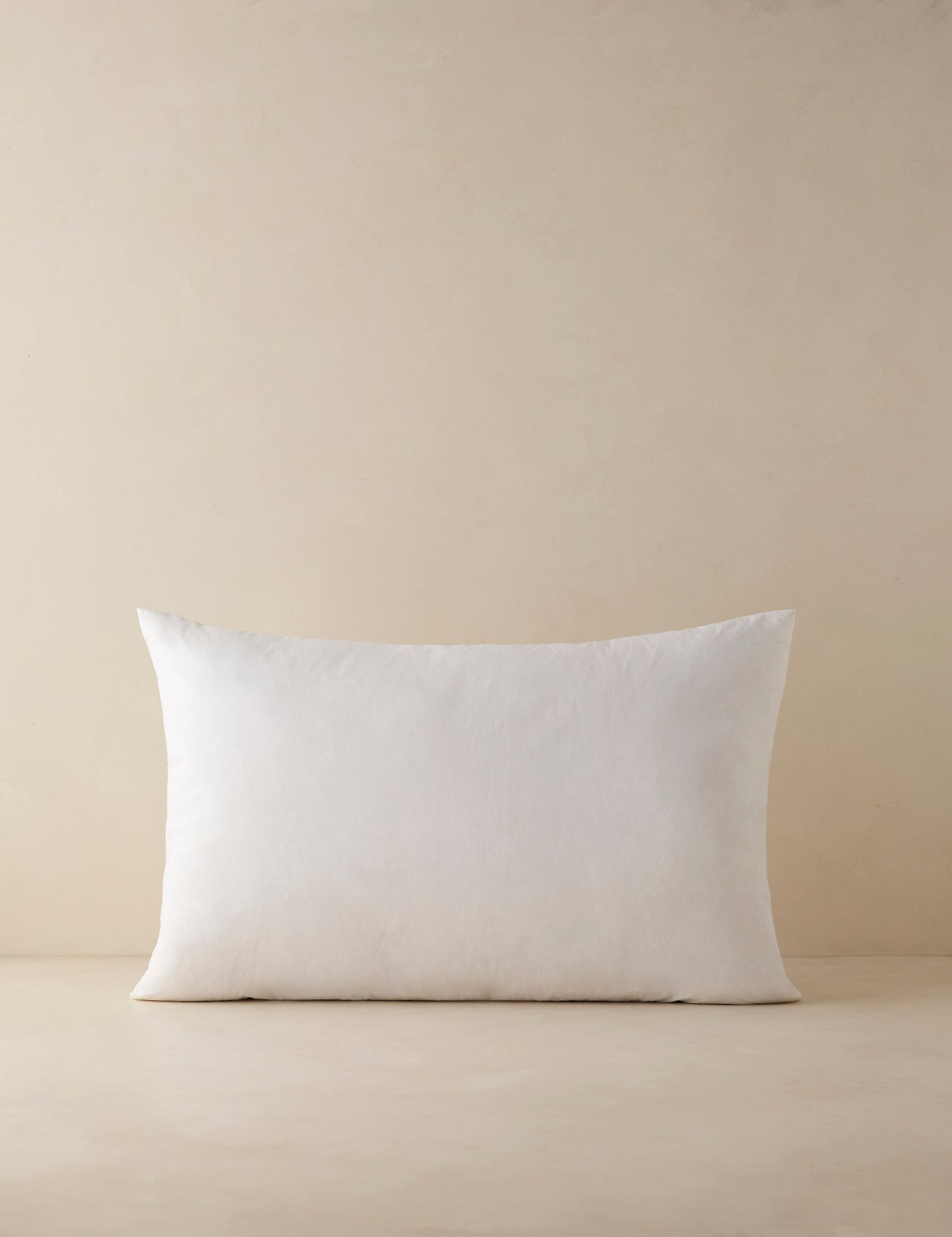 Garniture de coussin décoratif en plumes et duvet