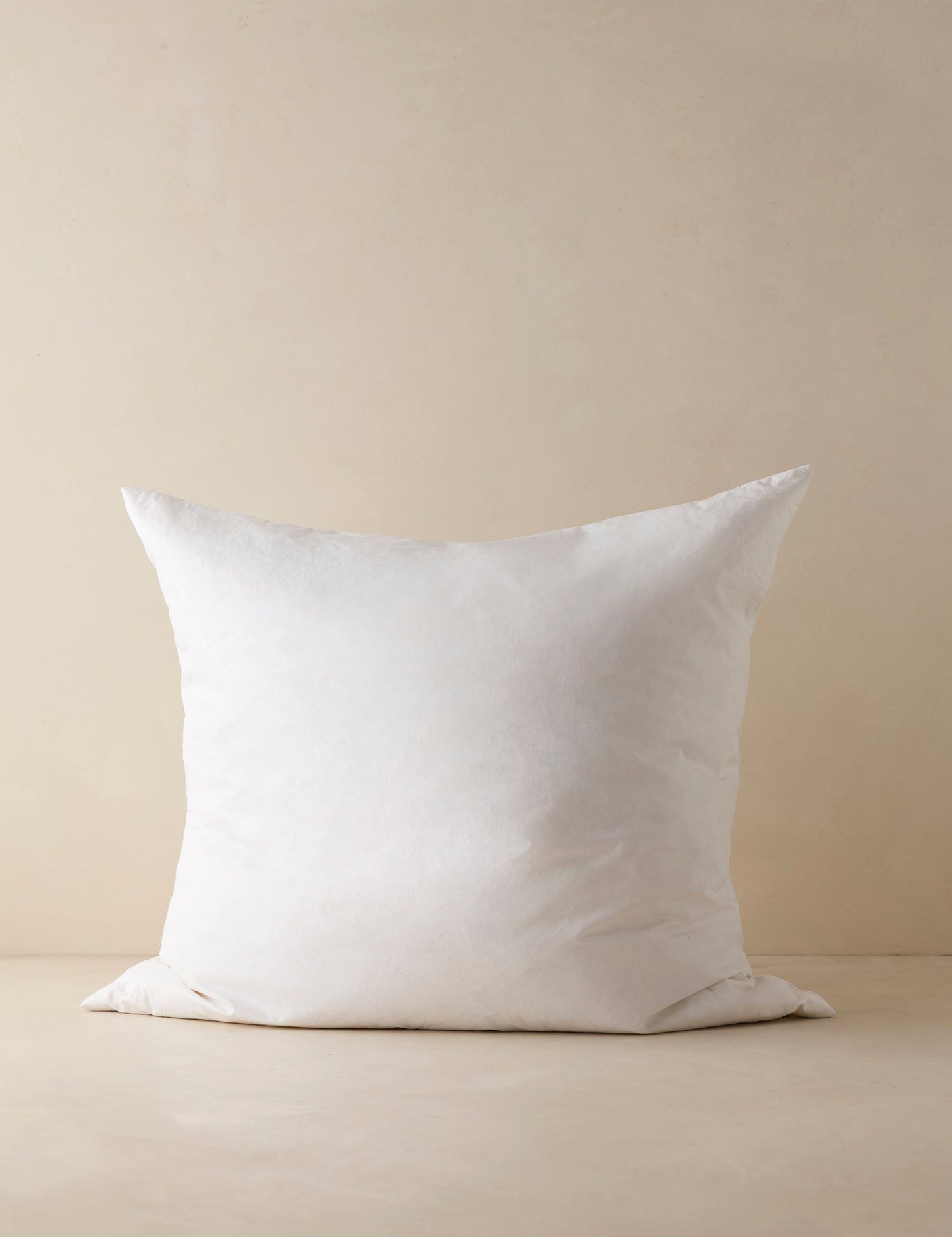 Garniture de coussin décoratif en plumes et duvet