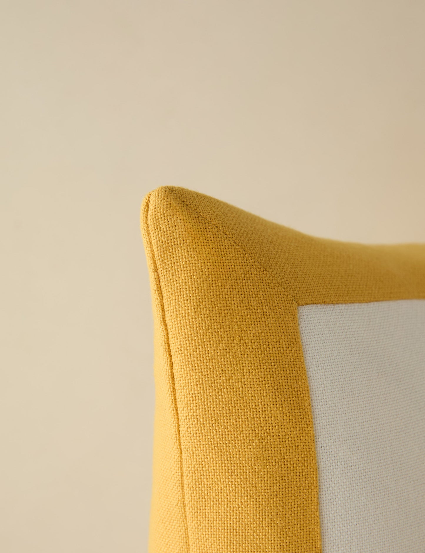 Oreiller d'intérieur/extérieur Amica