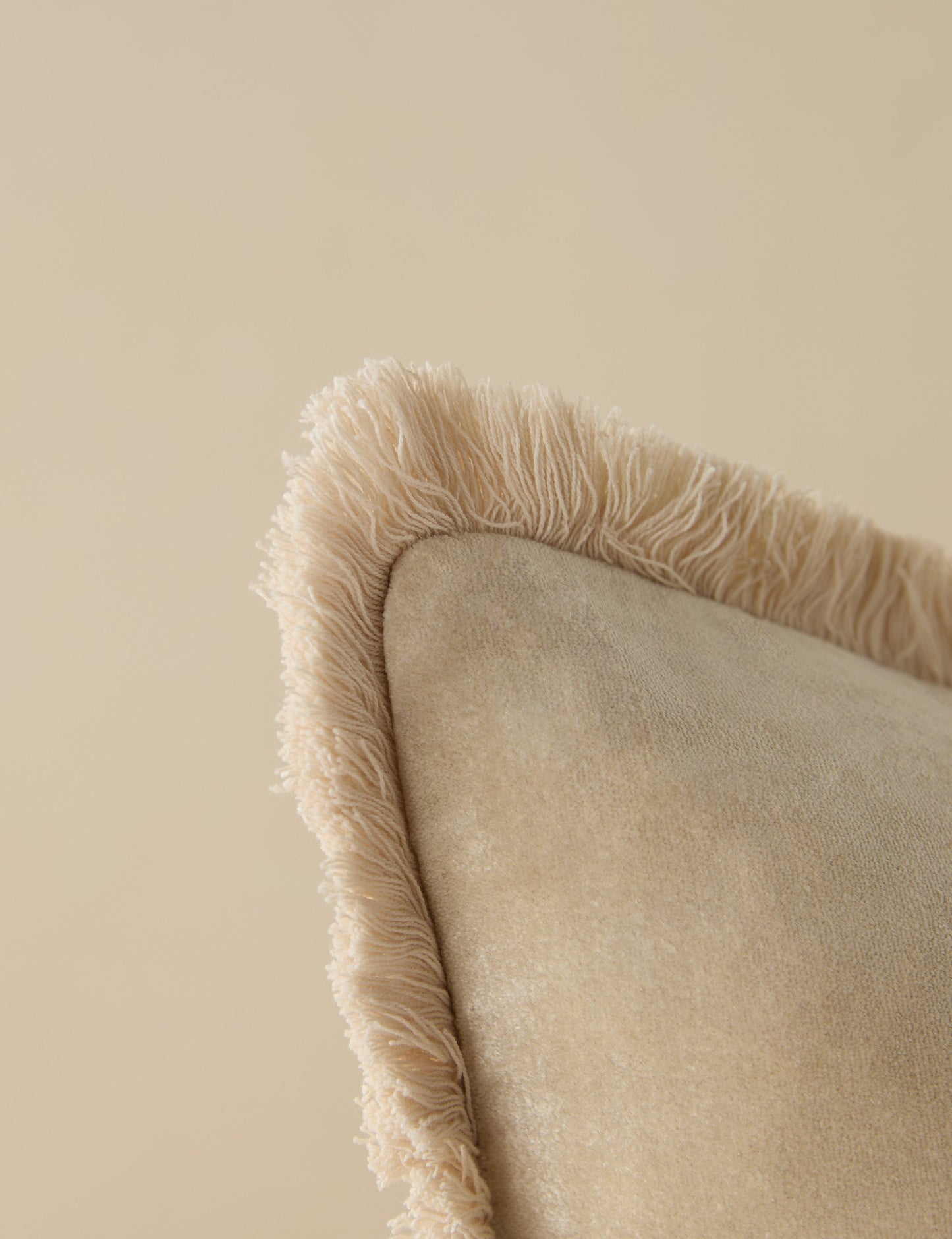 Coussin en velours Brandis