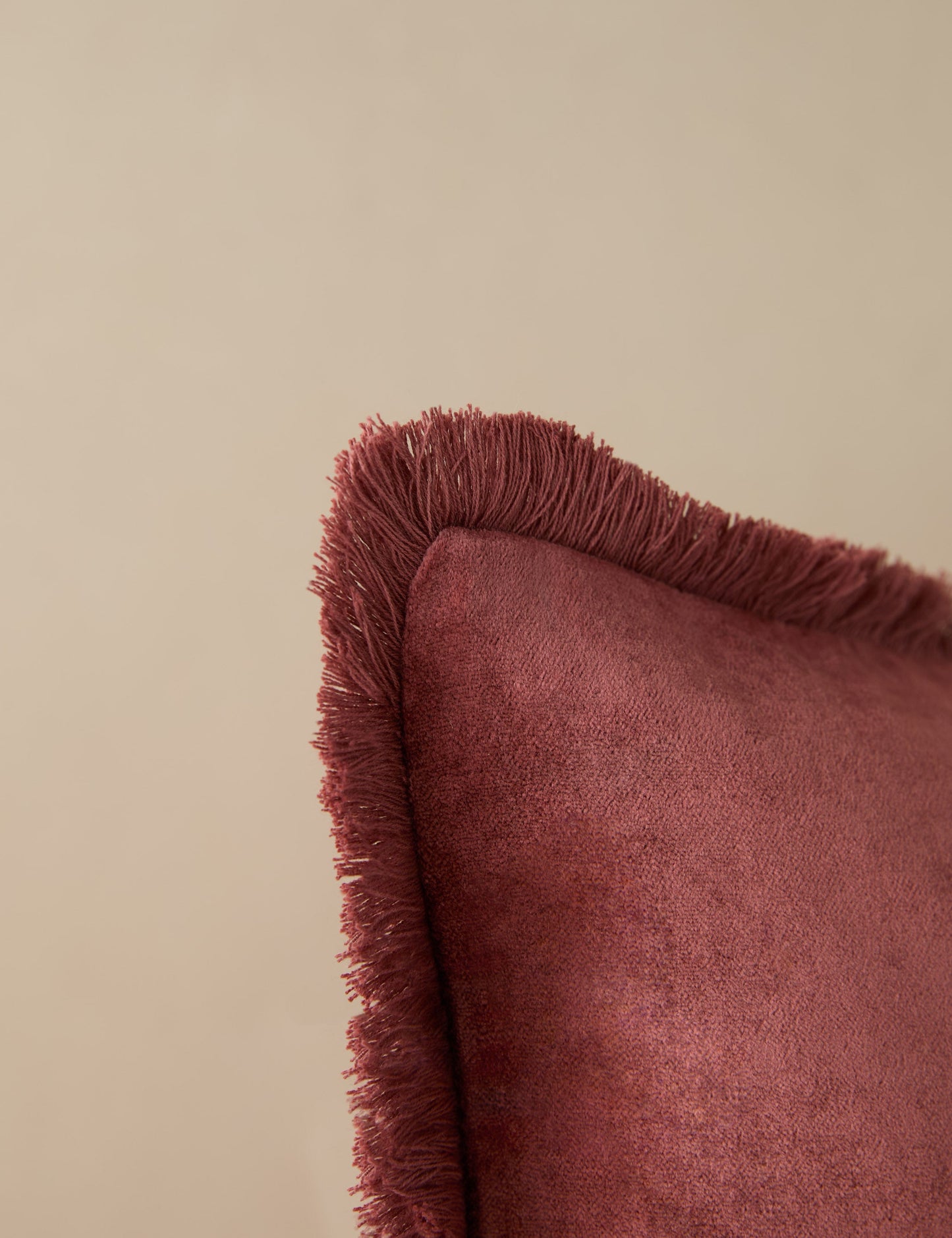 Coussin en velours Brandis