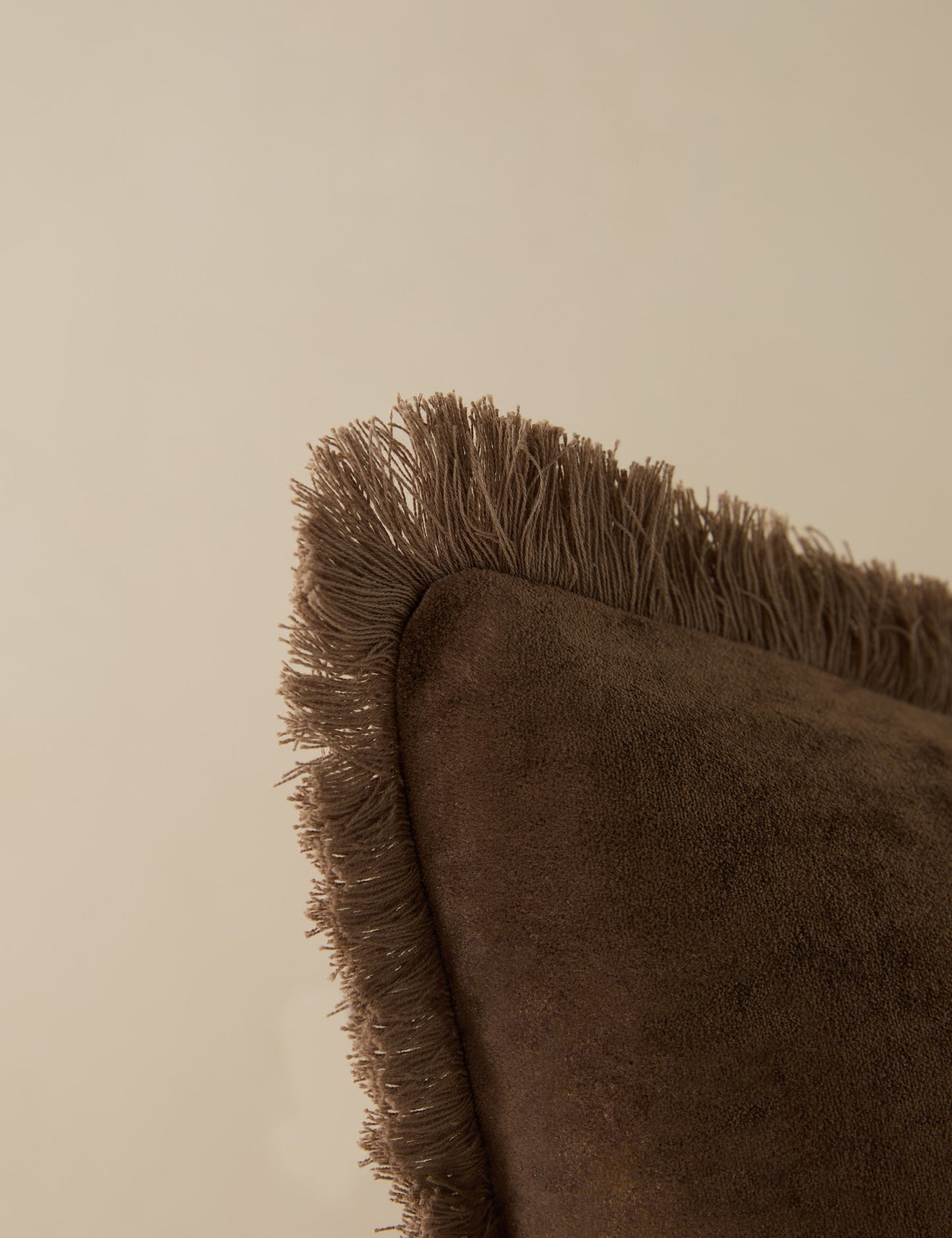 Coussin en velours Brandis