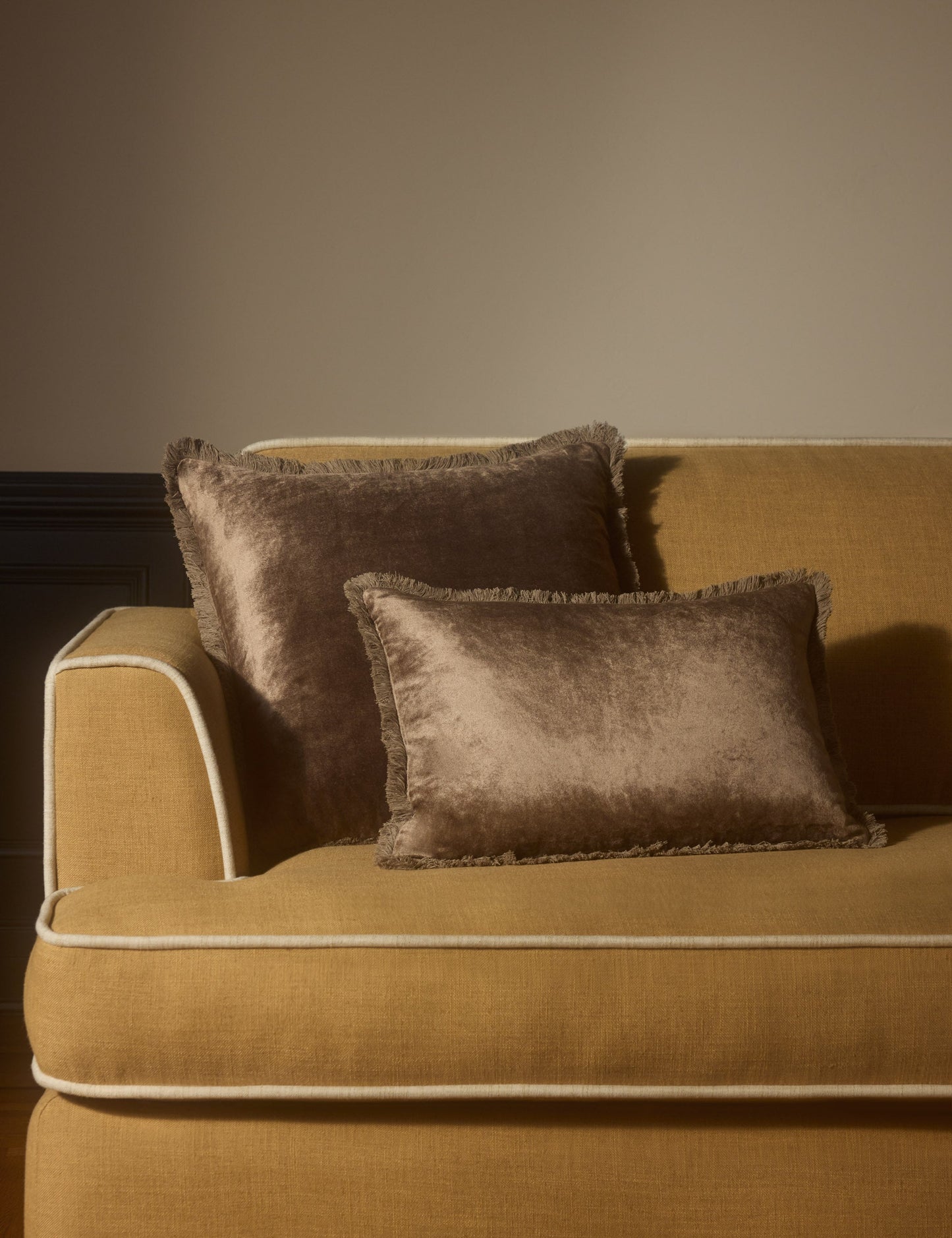 Coussin en velours Brandis