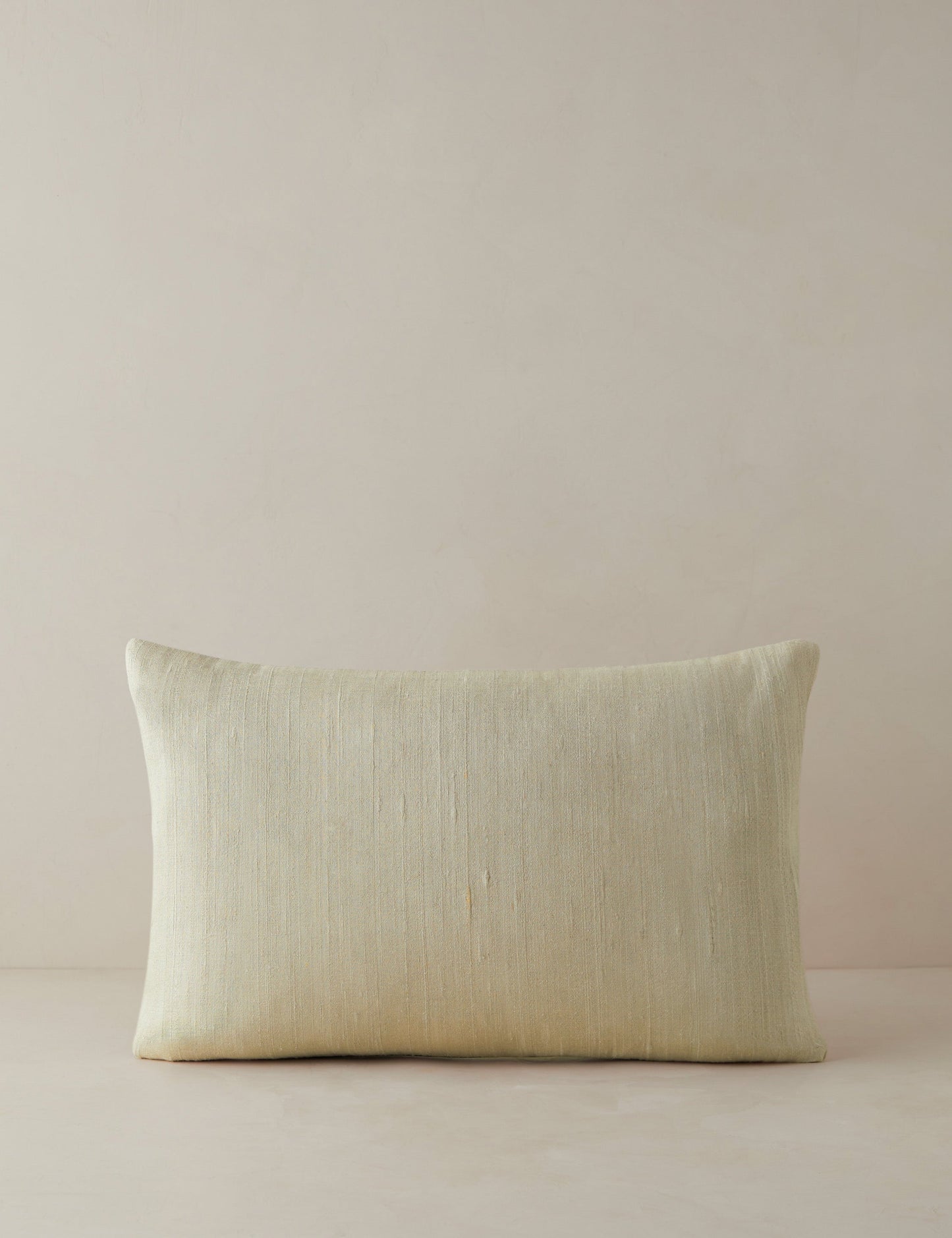 Oreiller en soie Event Horizon de James Perkins