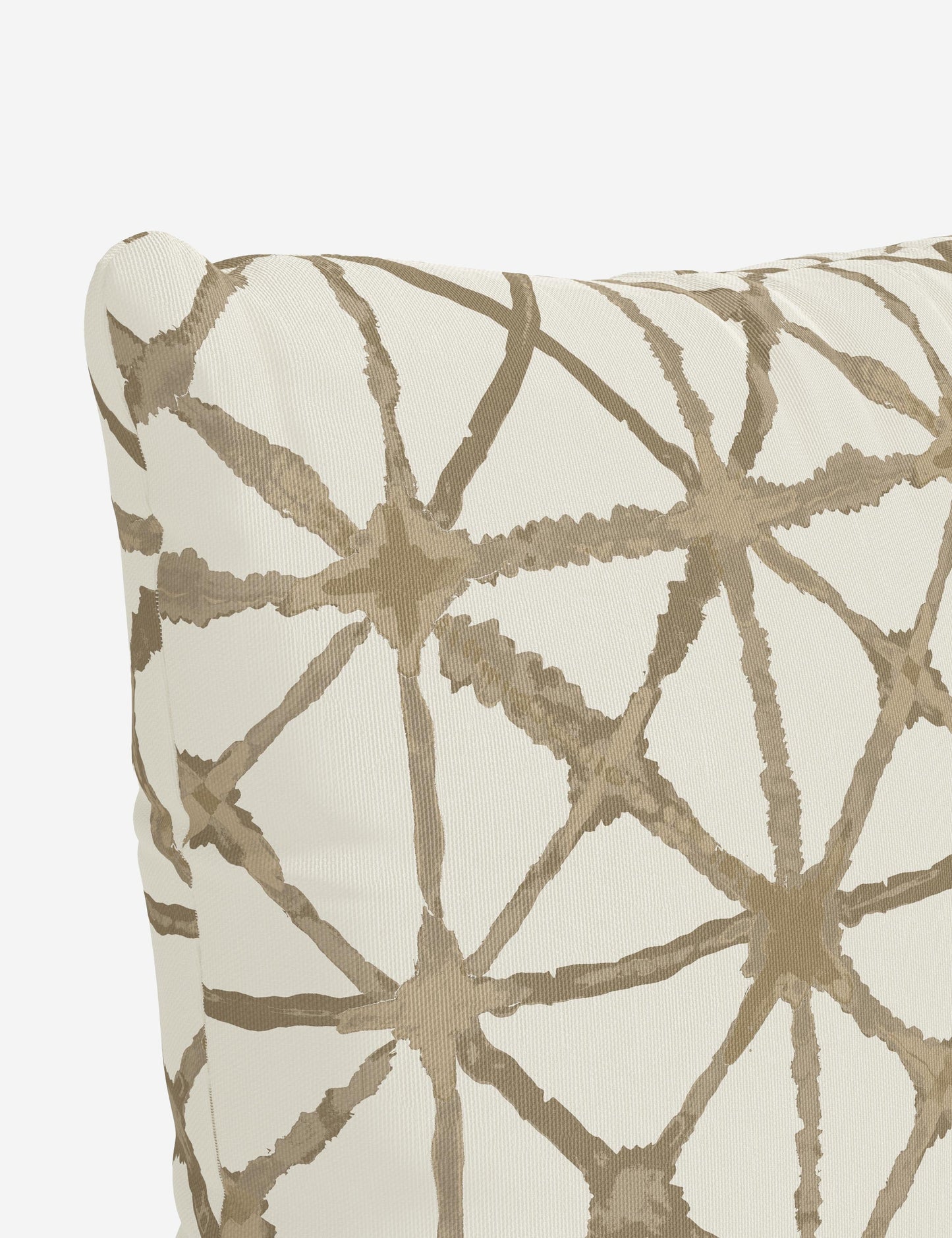 Oreiller d'intérieur/extérieur Azara