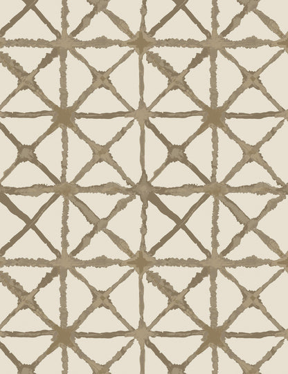 Oreiller d'intérieur/extérieur Azara