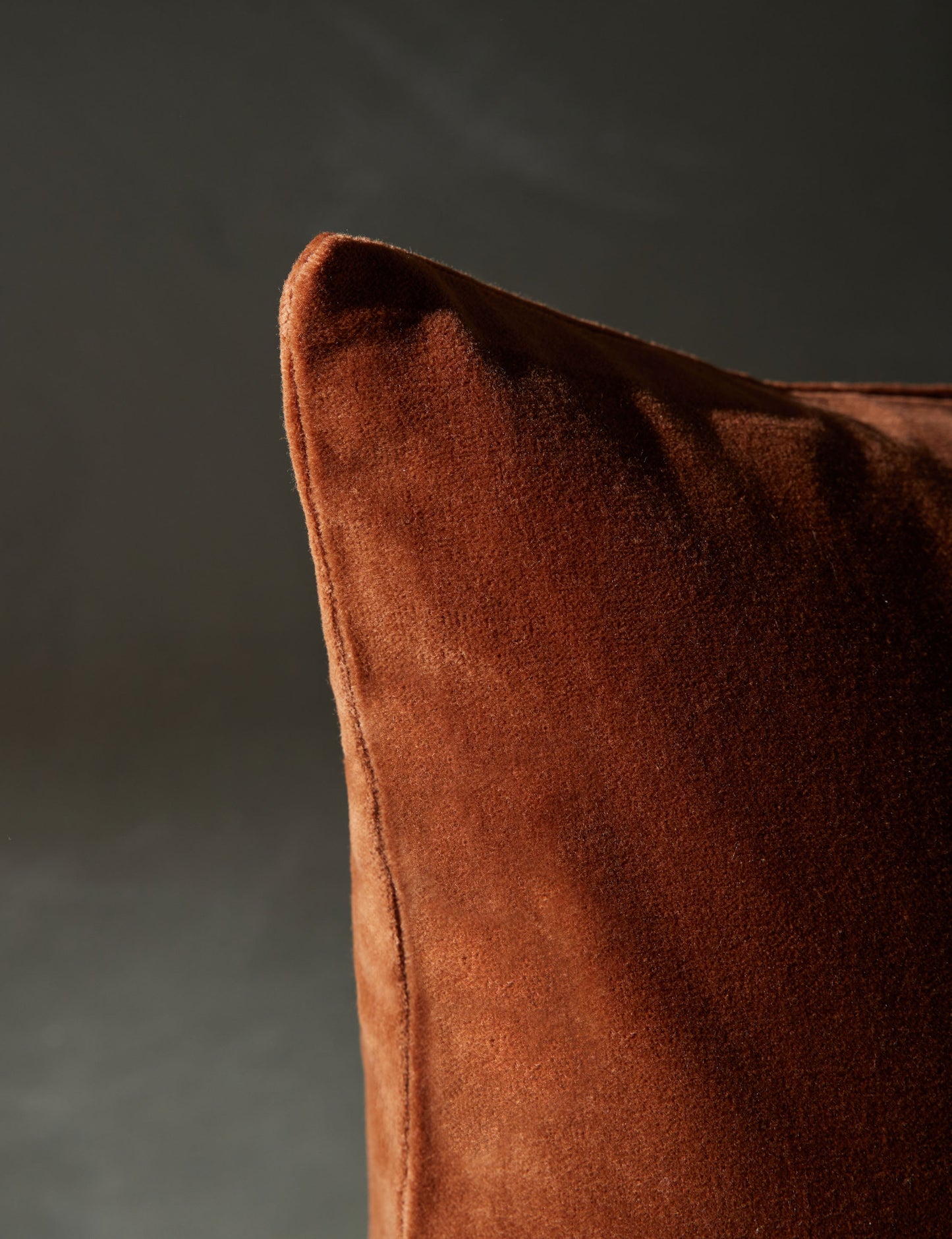 Oreiller en velours Caddie