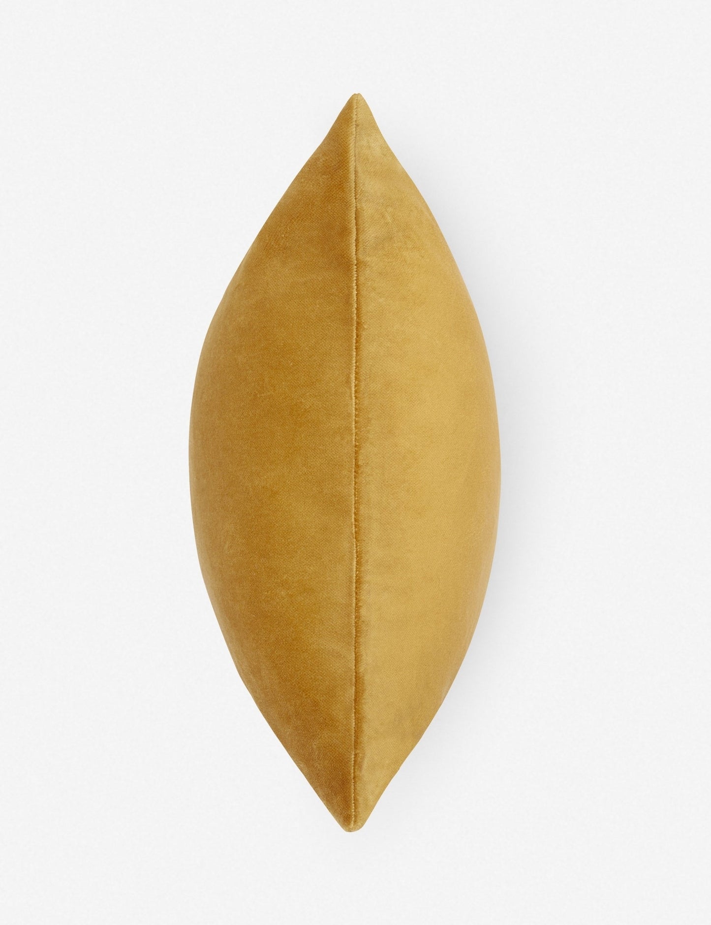 Coussin lombaire Charlotte en velours